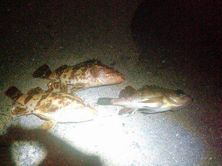 今日は二目達成しましたの巻